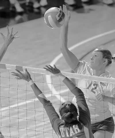 Volleyball